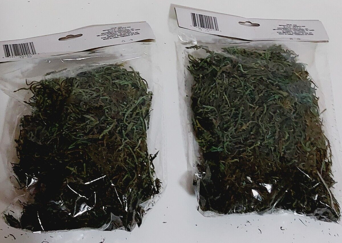 Lot of 2 Floral Garden Floral Moss 1.10 L Flower Arrangements Dioramas Village