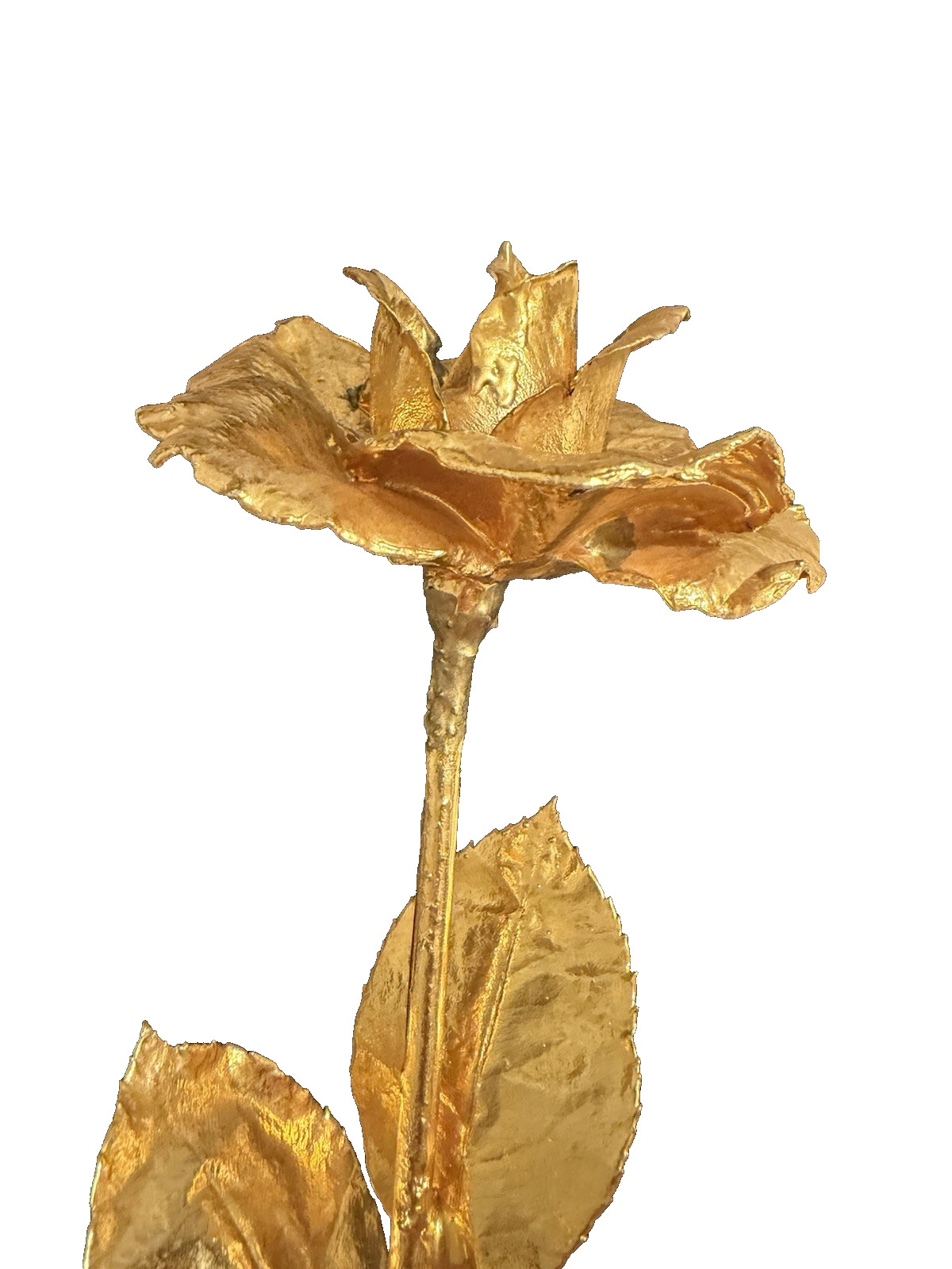 Real Natural Rose Flower Coated Preserved And Dipped In Gold