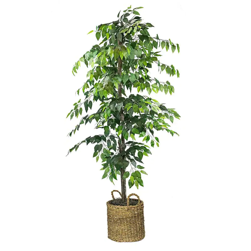 Artificial Plant 6-Foot Ficus Tree in Woven Natural Basket Home or Office Decor