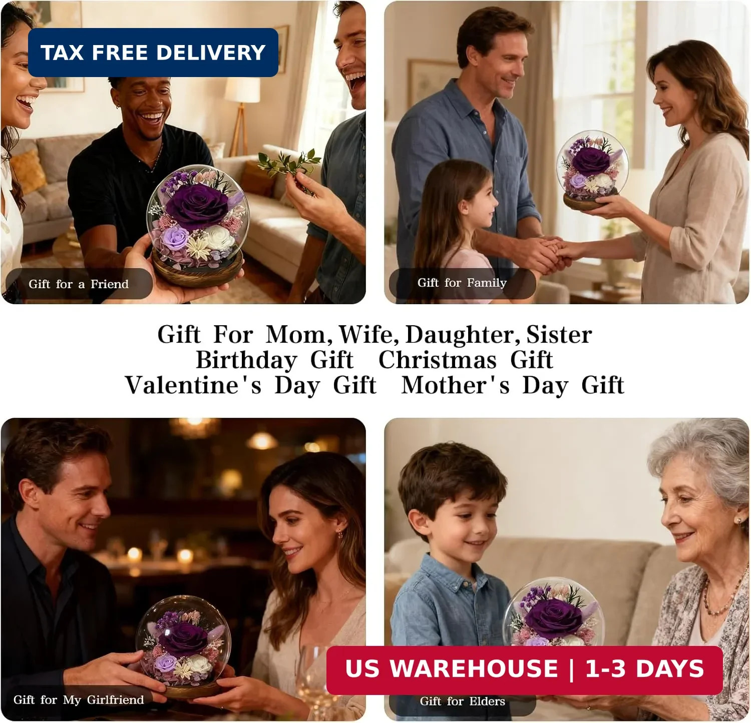 Birthday Gifts for Women Preserved Rose in Glass Dome Preserved Flowers Forever