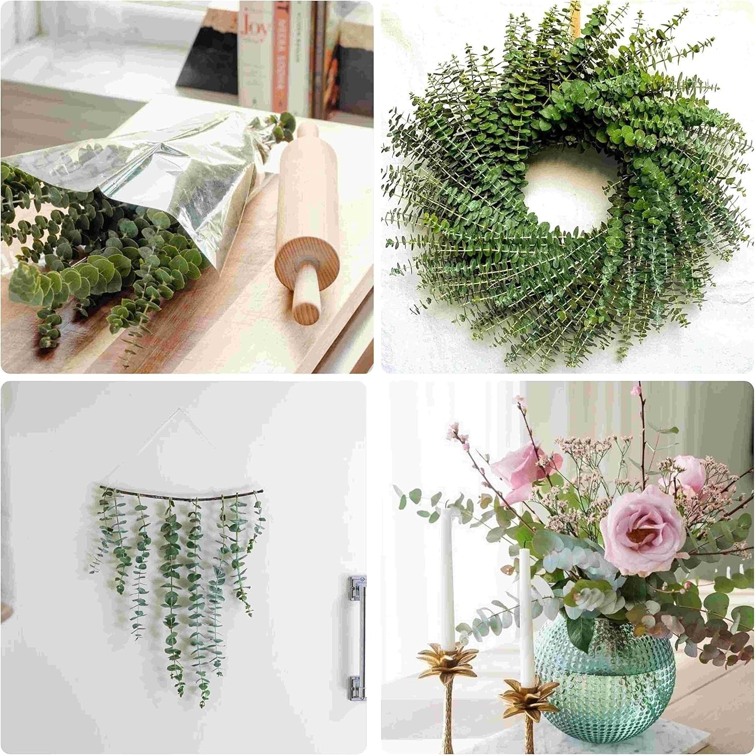 10Pcs Dried Eucalyptus Stems, 17″ Natural Hanging Eucalyptus for Shower | Rea…