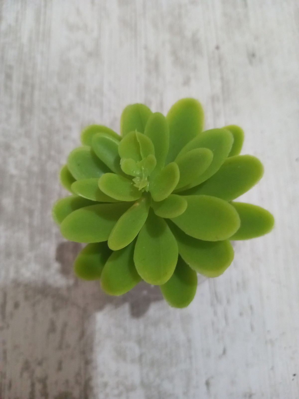 Artificial succulent plant for decoration