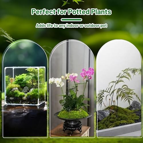 Artificial Fake Green Moss for Crafts and Decor