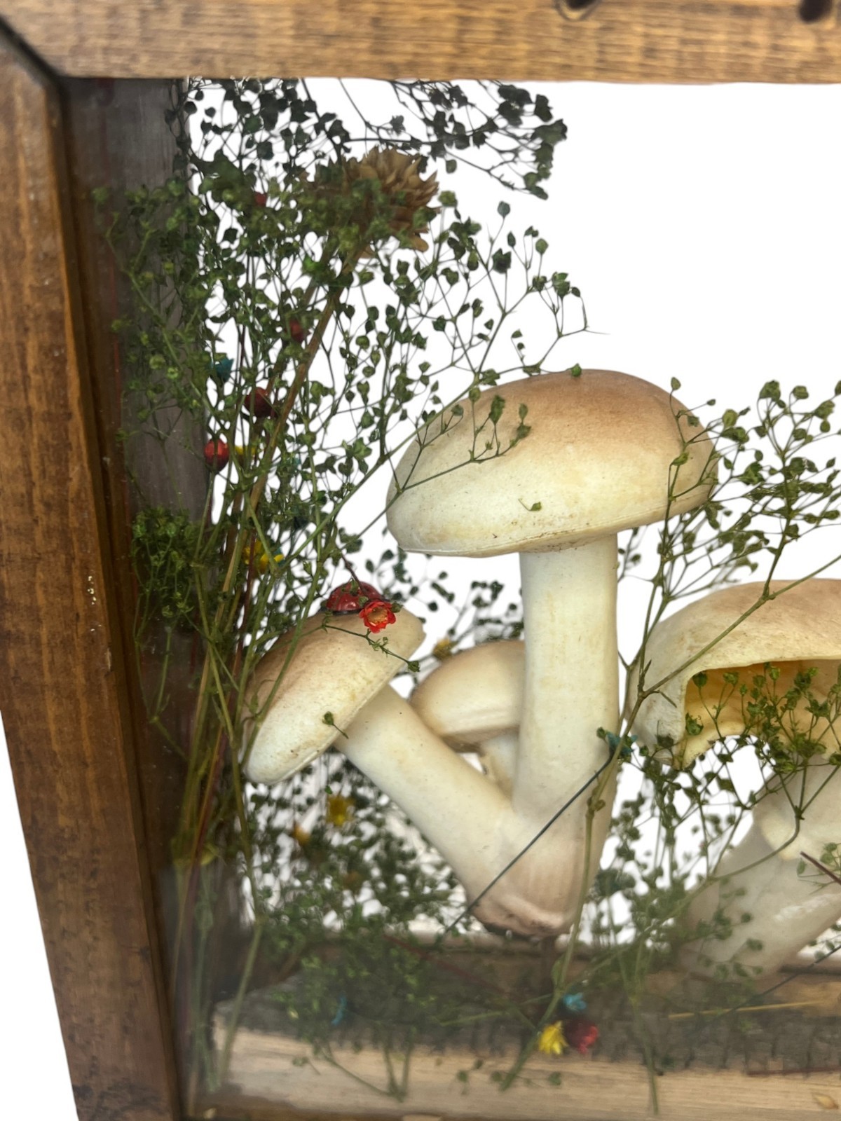 Vtg Cottage Core Mushroom Shadow Box Wood 1970s Decor Fairy Garden MCM Merry