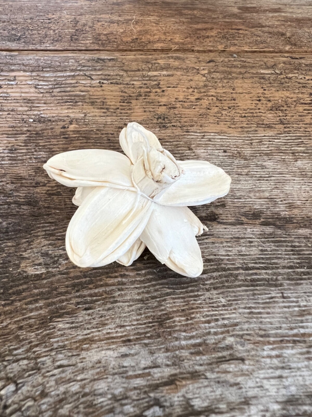 Mini Bark Daisy Sola Wood Flowers – Set of 50 – Craft Flowers