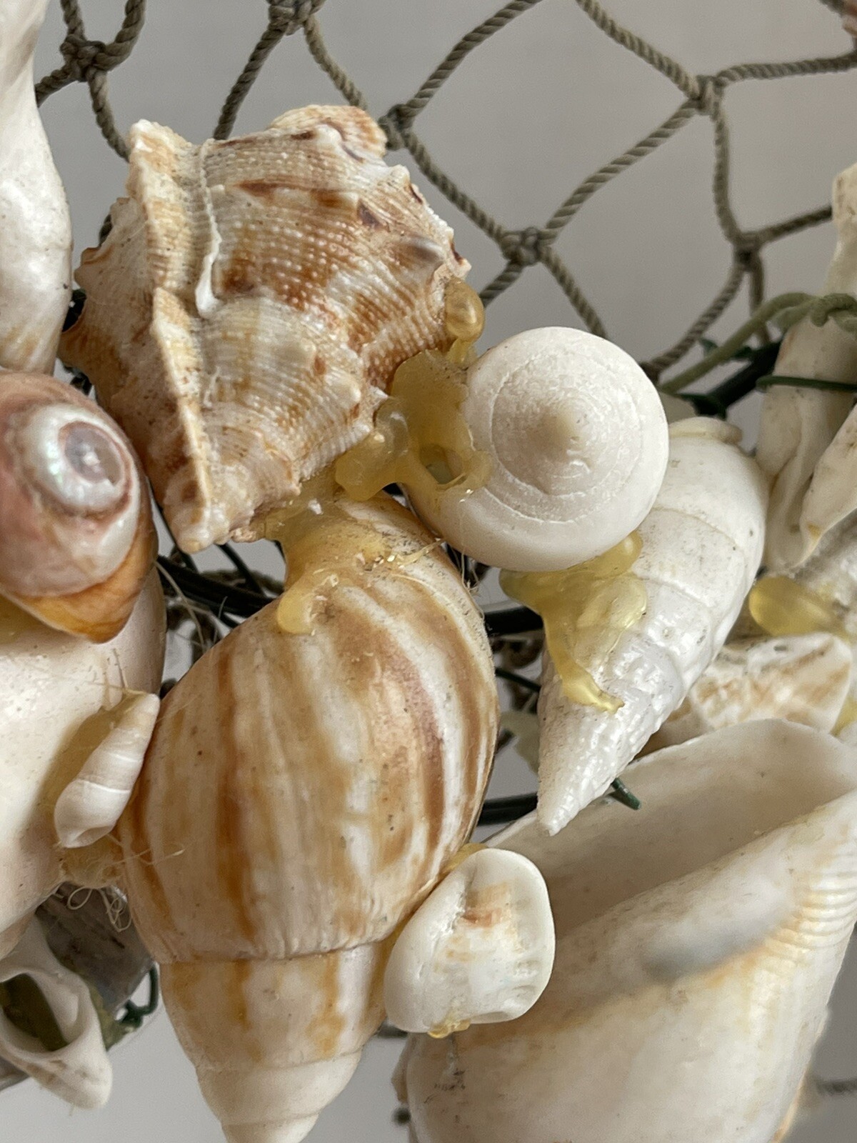 Vintage Sea Shell Wreath Coastal Home Decor Hand Crafted Real Shells Abalone 8”