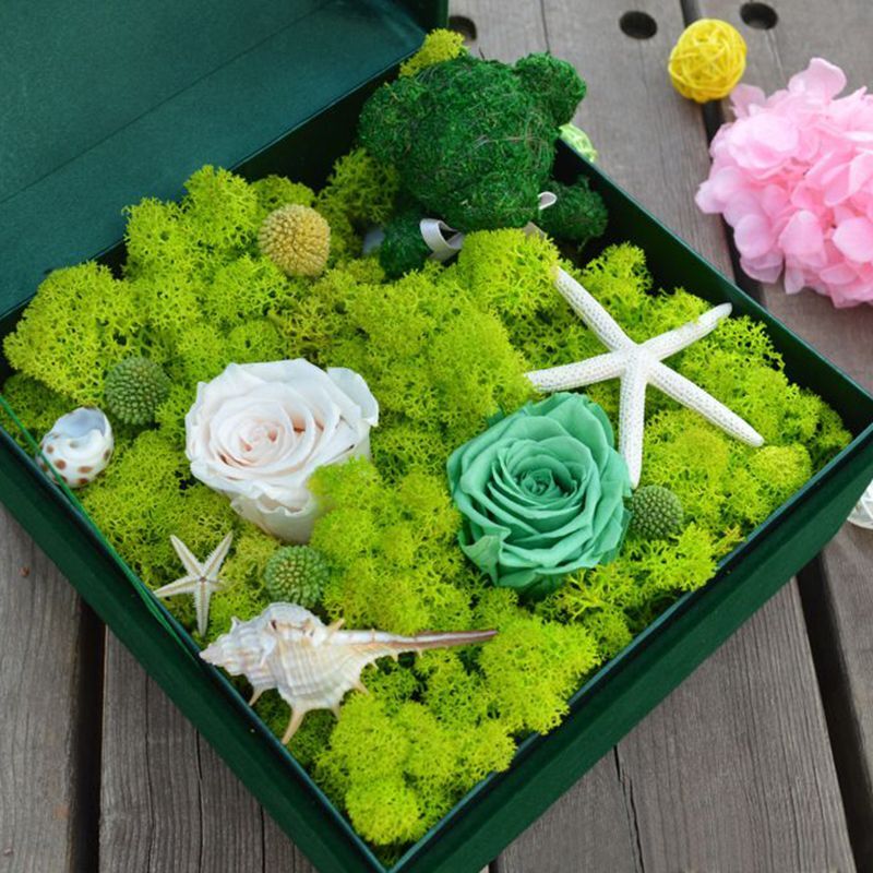 20g/40g Moss Grass Artificial Plant Eternal Life Moss DIY Home Garden Decor NEW