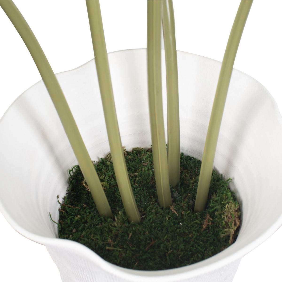 Uttermost 60268 Marisol Stone Gray and Green Potted Olive Plant