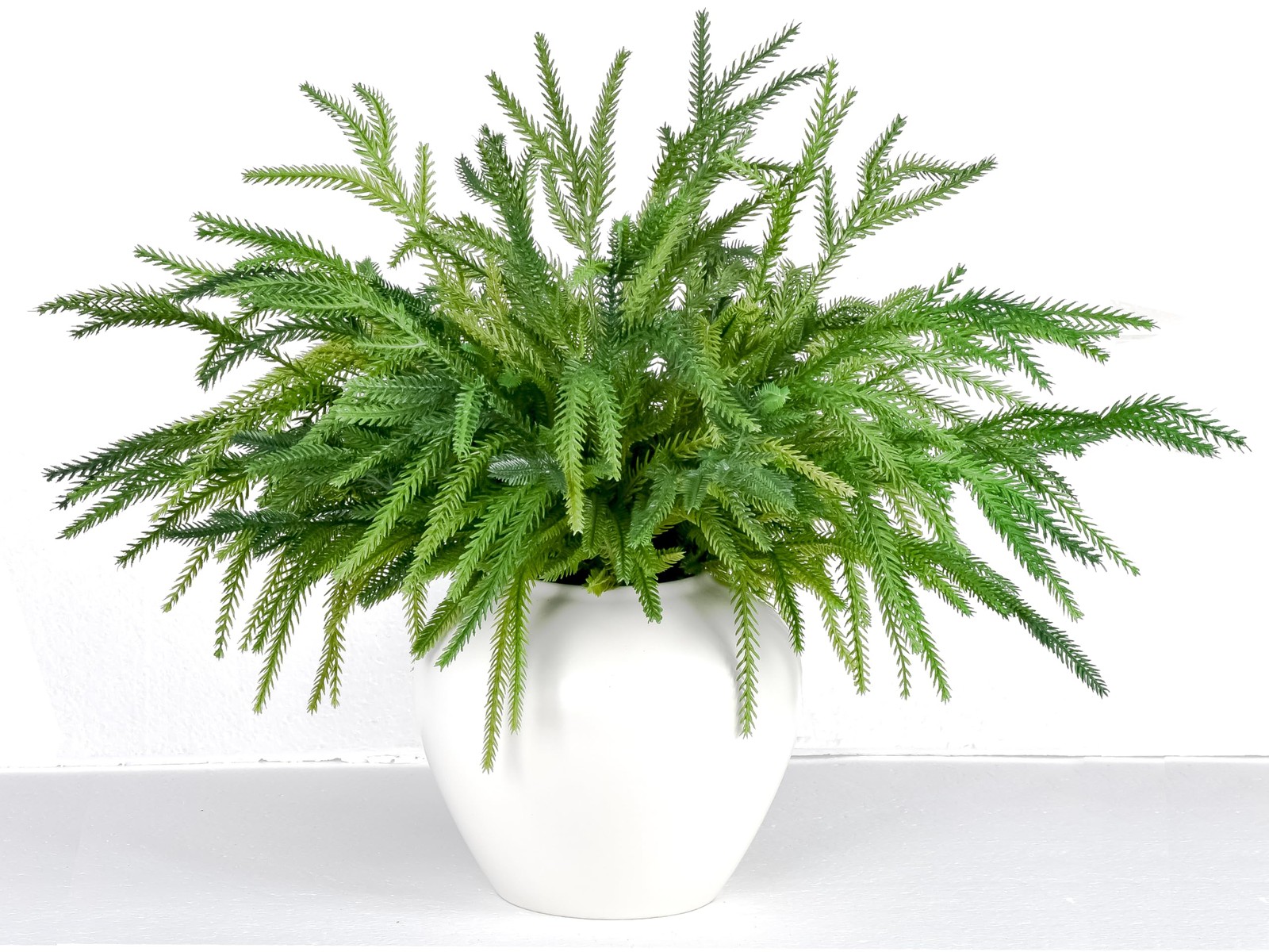 12pcs Xmas Norfolk Pine Branches Real Touch Norfolk Pine Branches 18″ Christmas