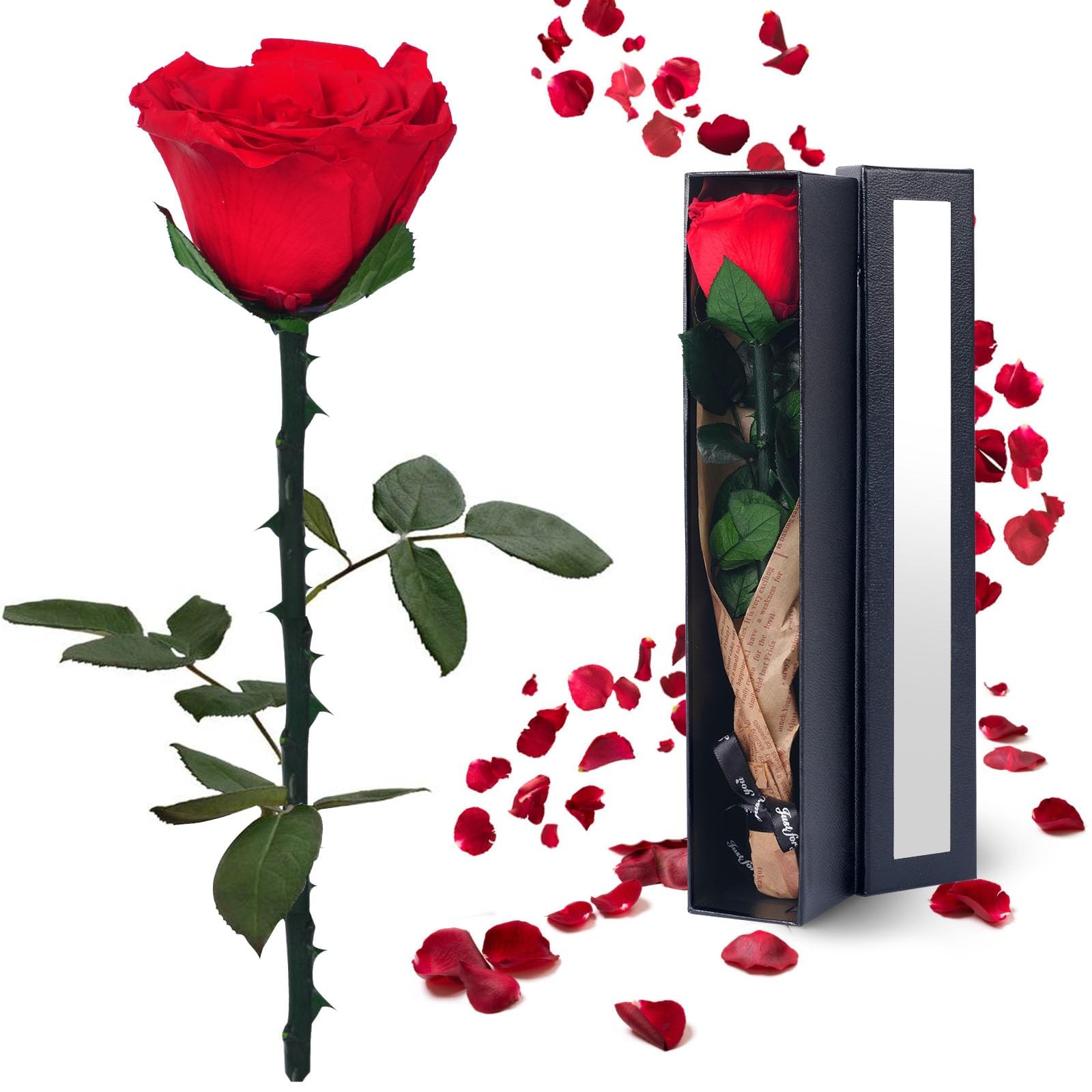 Preserved Flowers Gifts for Women: Valentines Day Mothers Day Birthday Christ…