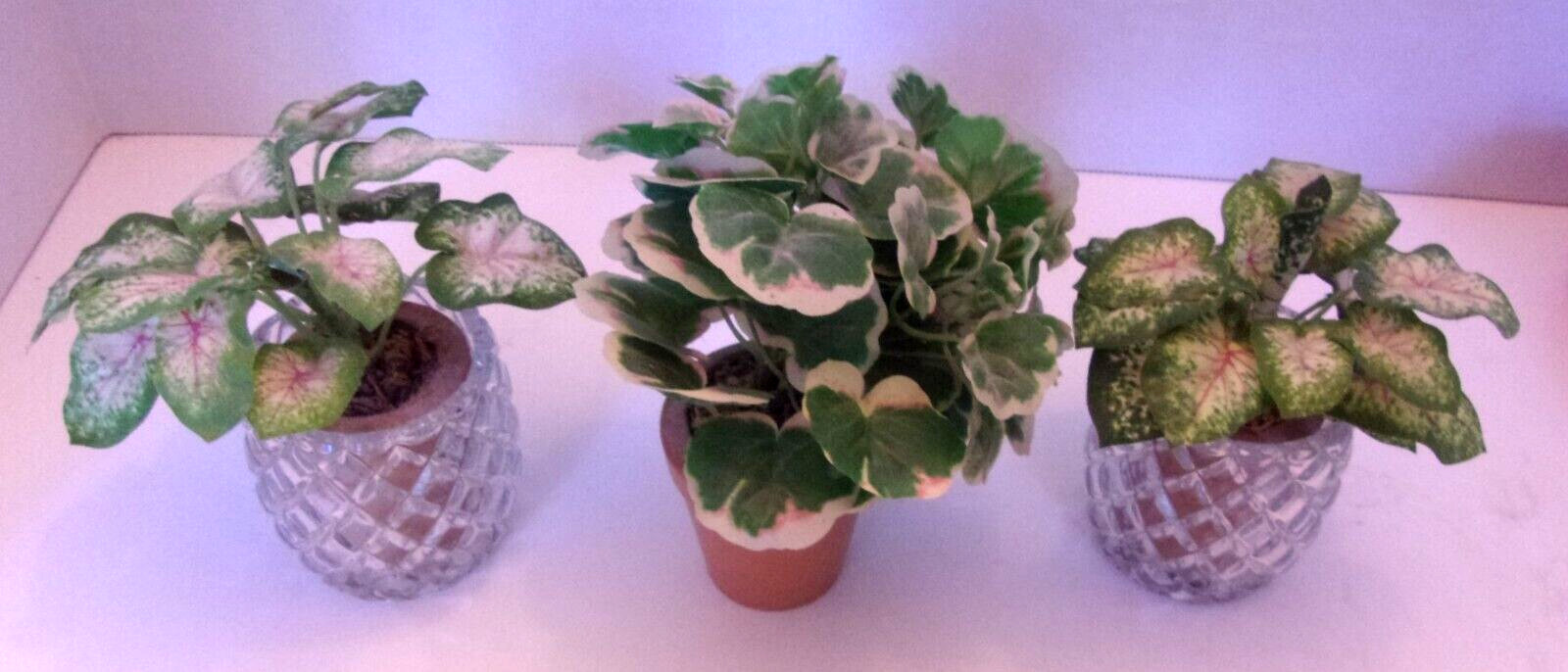 (2) Faux Coleus and (1) Geranium In Wood (Terracotta) Pots w/2 Glass Votives