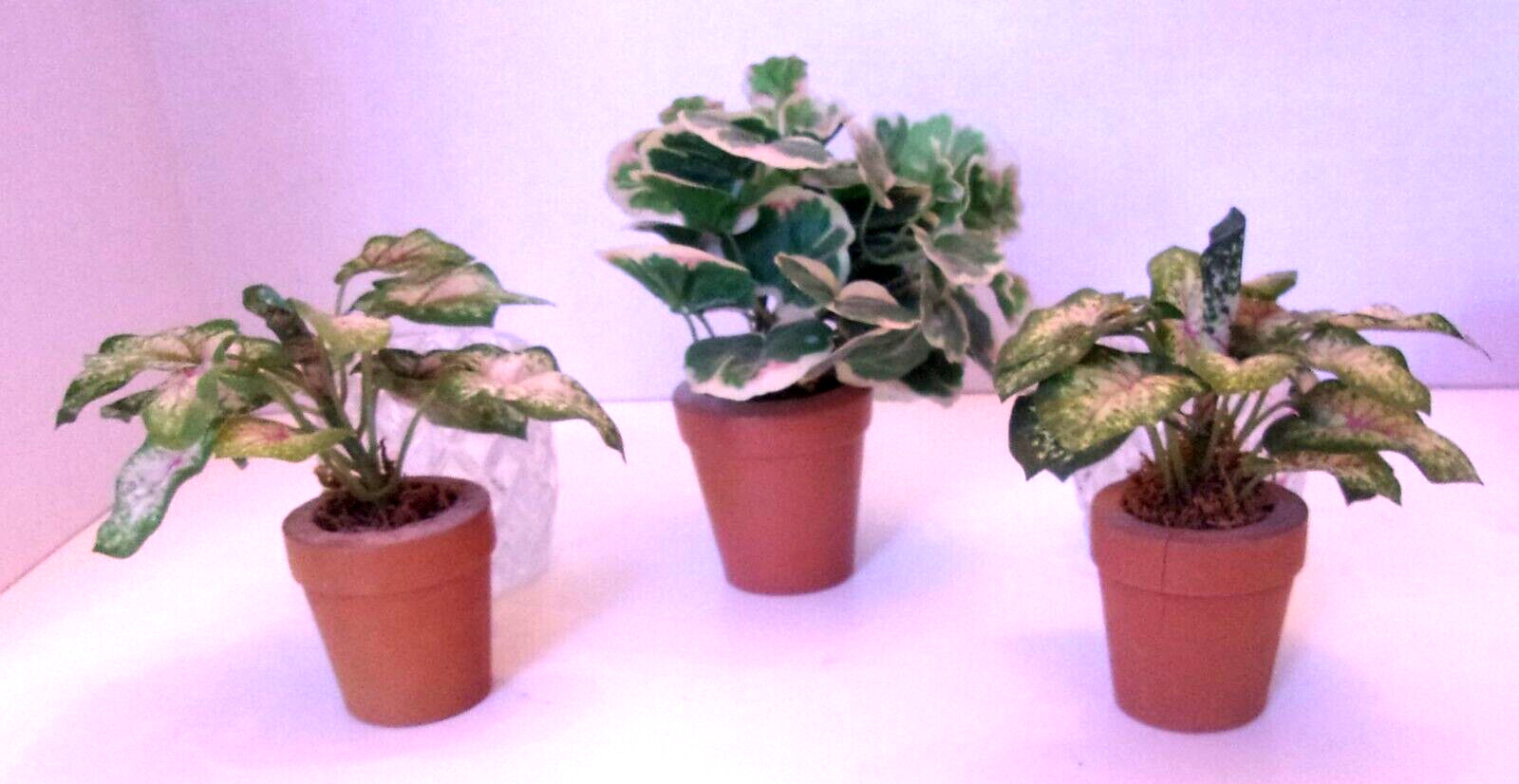 (2) Faux Coleus and (1) Geranium In Wood (Terracotta) Pots w/2 Glass Votives