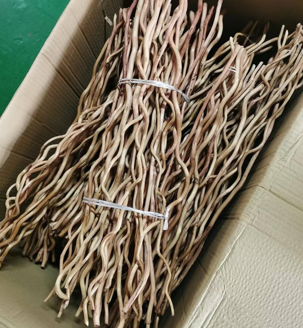 Dried Curly Willow Branches, 14-15 Stems Dried Twigs Sticks 21-23” Natural Dr…