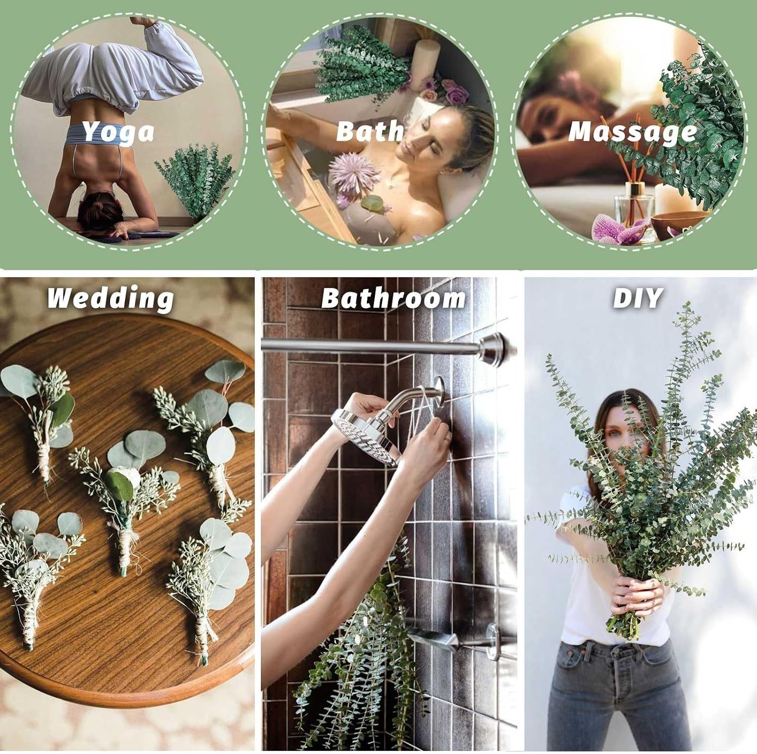 12Pcs Dried Eucalyptus Stems for Shower 17″ Natural Preserved Dried Eucalyptu…