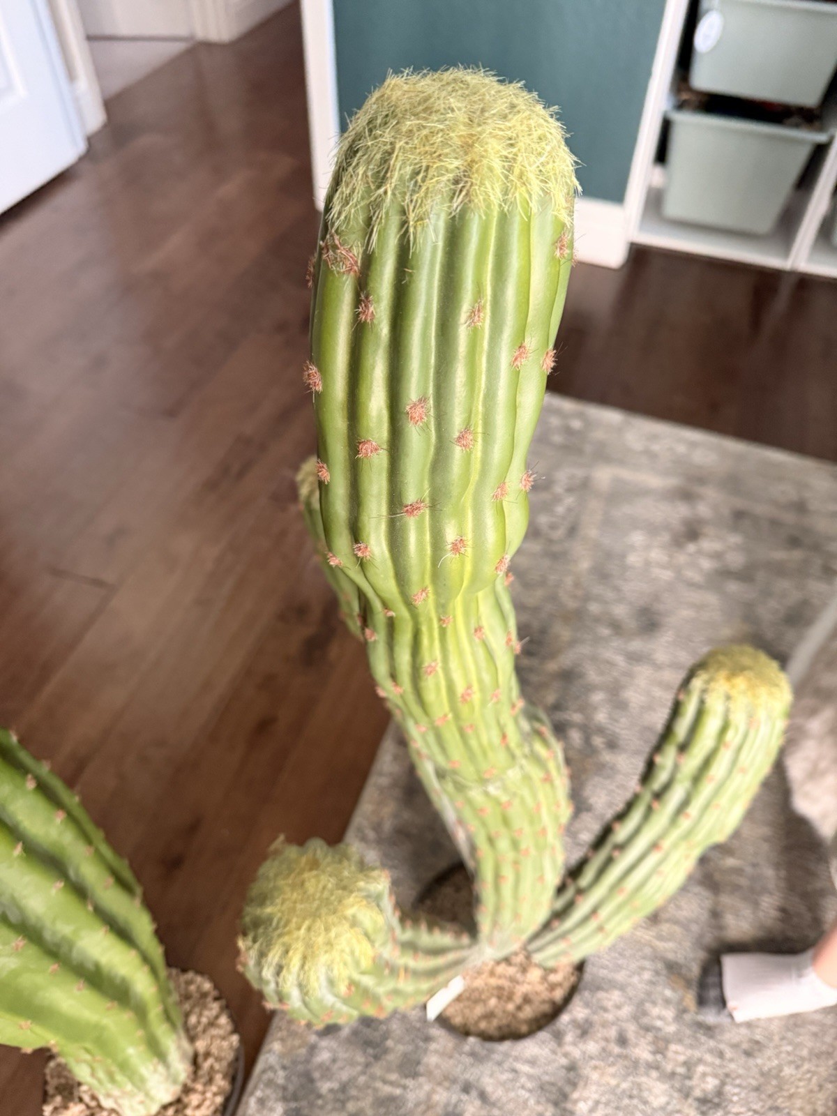 Artificial Cactus Set of 2 Faux Plant