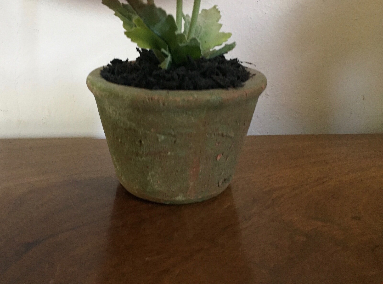Vintage Fabric Flower or Artificial Plant in Terra Cotta Pot Red Poppy