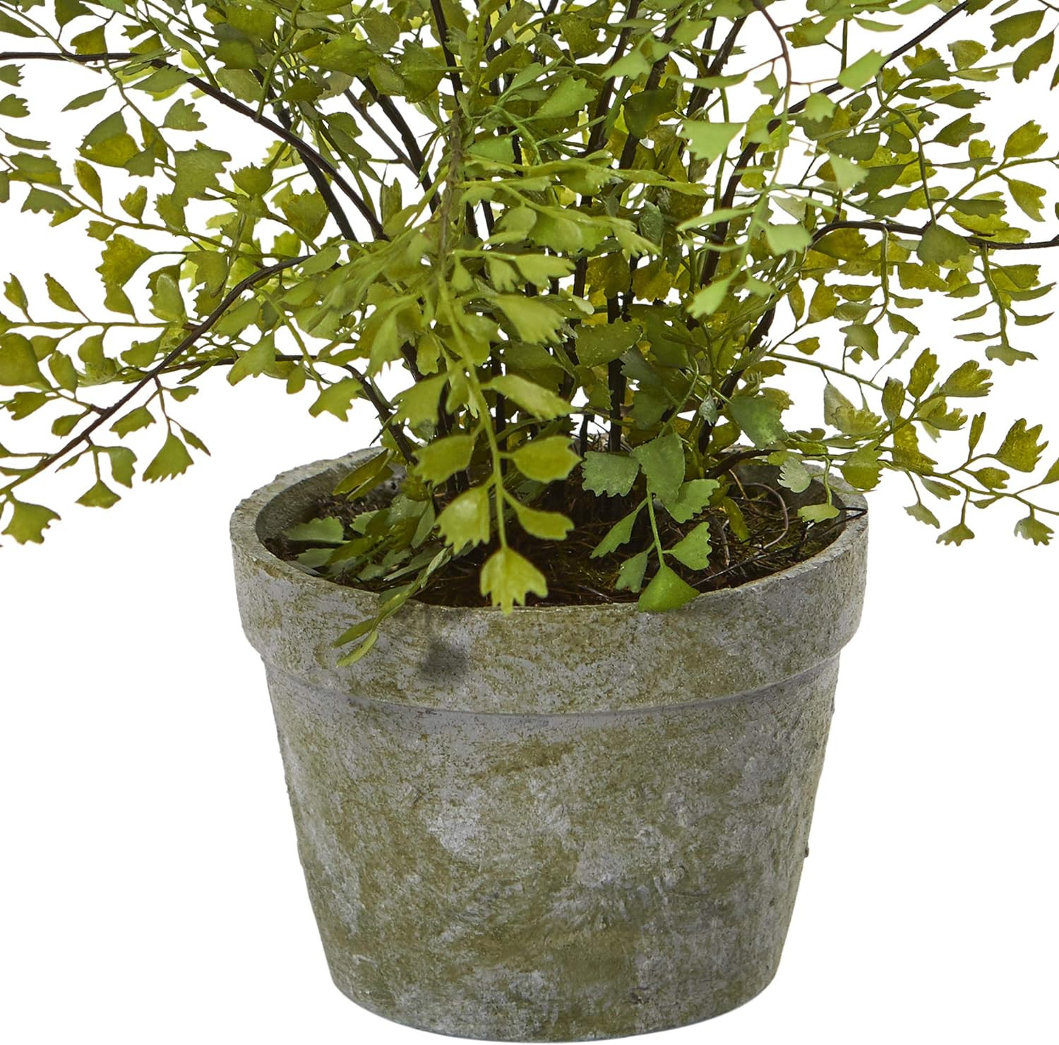 4251 Maiden Hair Artificial Plant in Planter Green Small