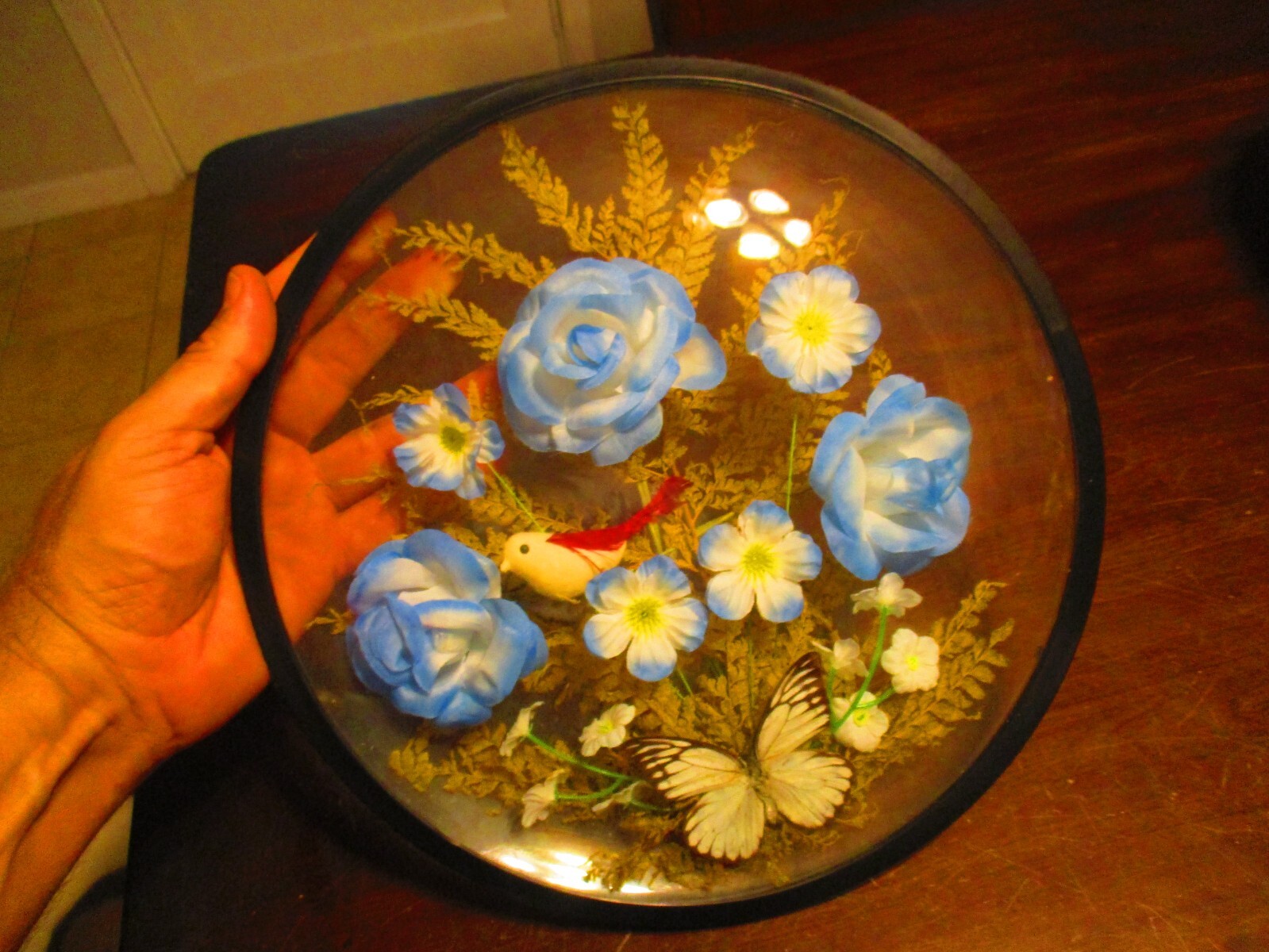 Lighted Butterfly bird flowers round encased 11.5” plastic display artwork