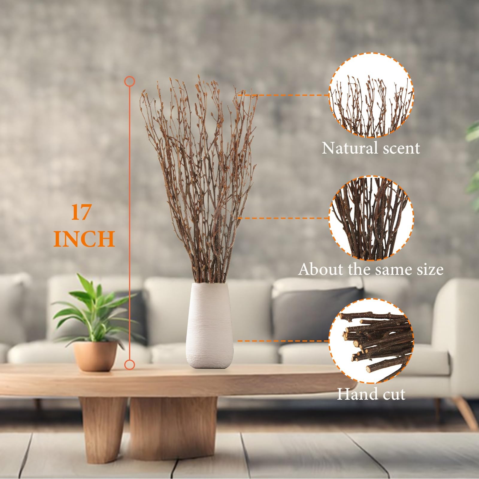 120 PCS Natural Dried Birch Twigs 17 Inch Branches For Vase DIY Home Decor