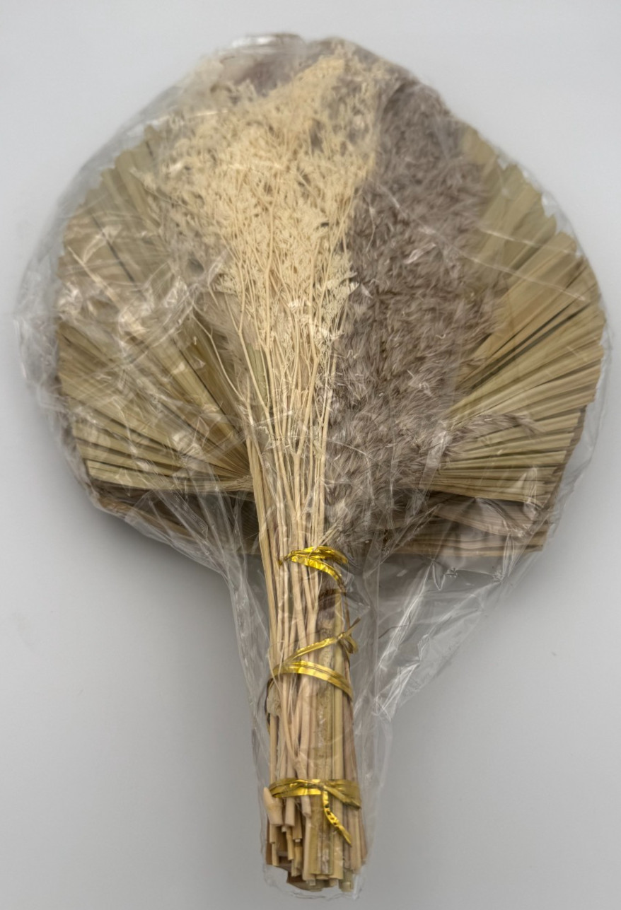Dried Palm Leaves Fan Wall Decor Kit Natural Ornamental Grass Stems 16-17 in