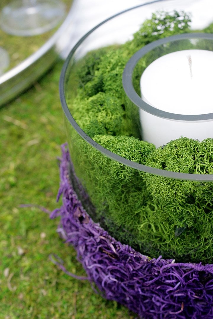 Supermoss Reindeer Moss 8Oz Forest Green Preserved Soft For Crafts And Decor
