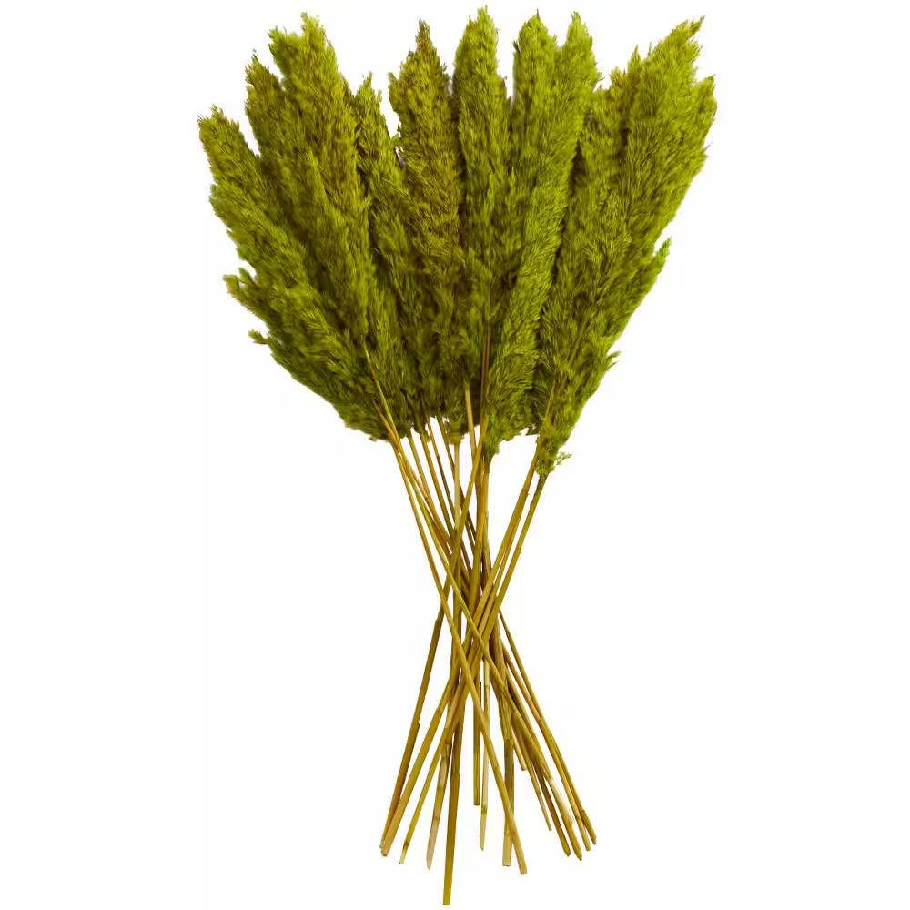 35 In. Pampas Natural Foliage with Long Stems (1 Bundle)