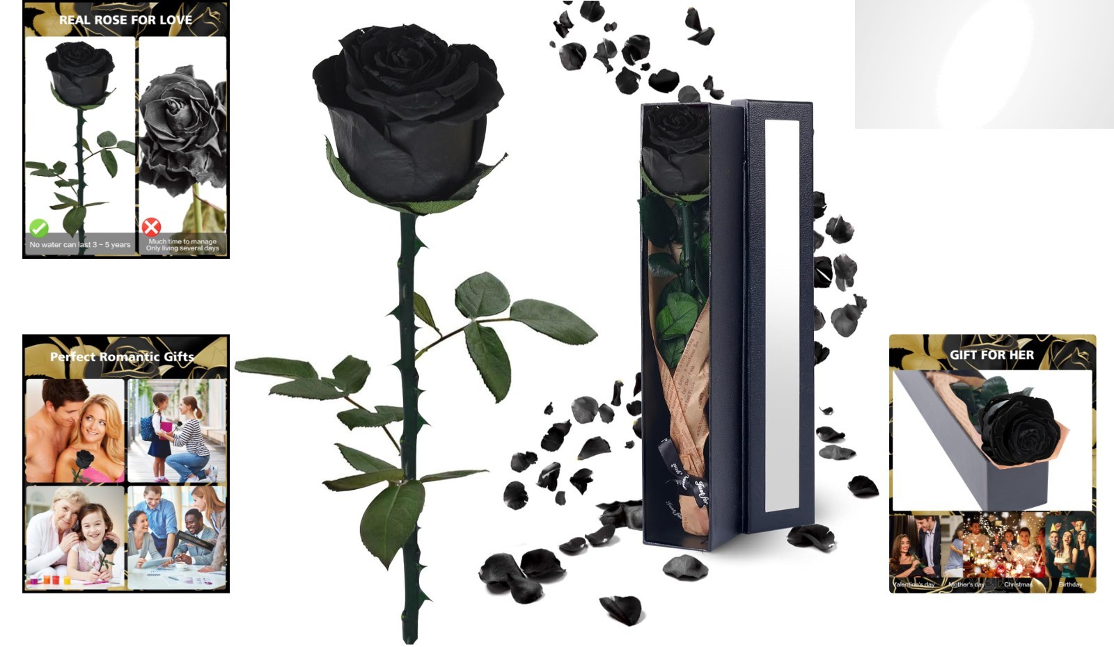 Single Black Preserved Rose – Timeless Gift for Women on Any Occasion