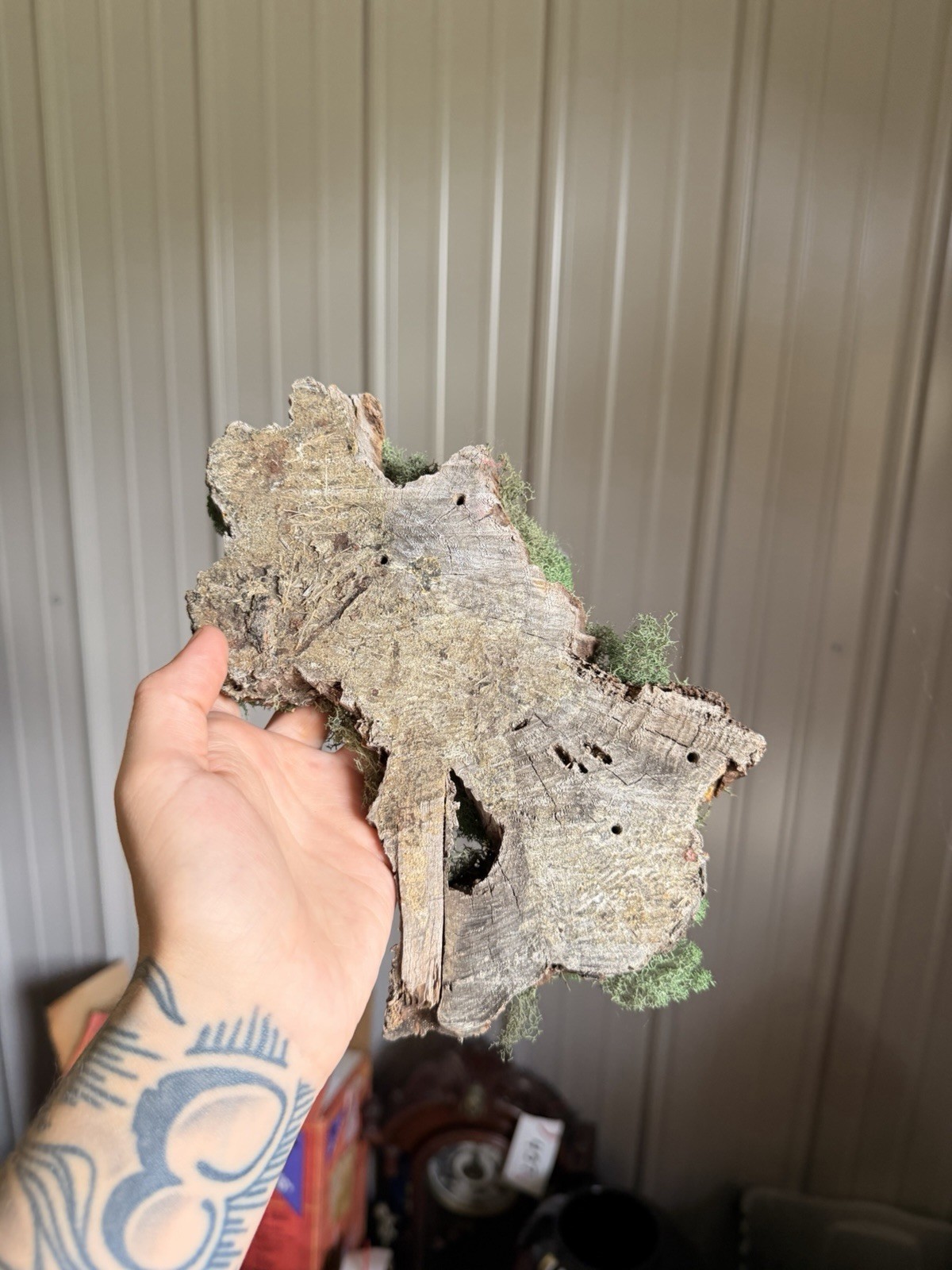 Rustic Woodland Moss Floral Centerpiece W Glass Bud Vases On Natural Bark Wood