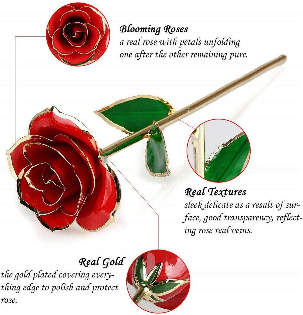 Valentines Day Gifts for Her, Real Rose Dipped in 24K Gold, Preserved Rose Fl…