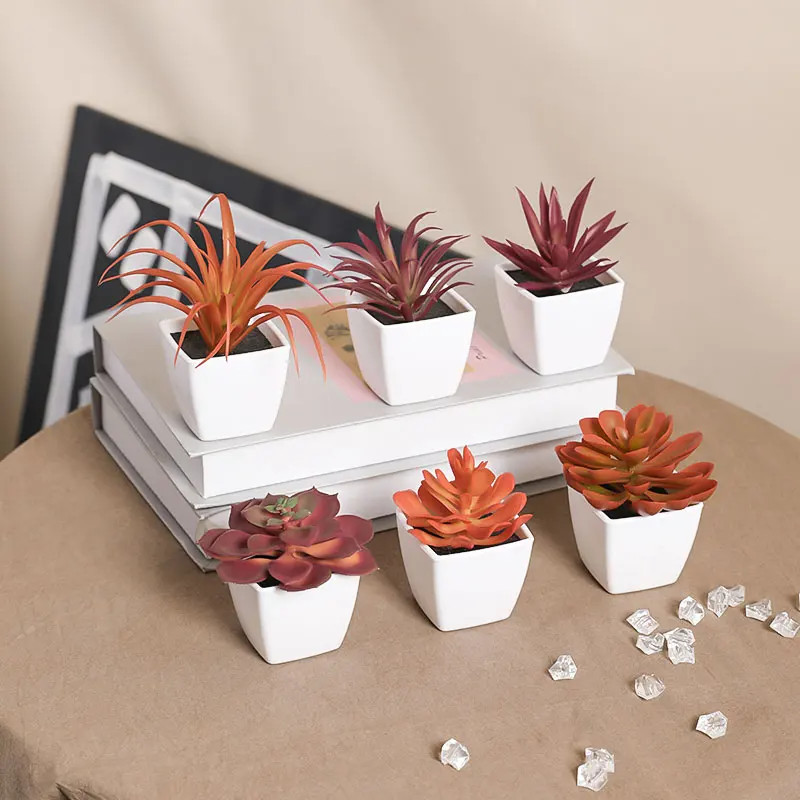 6PCS (SET) Mini Artificial Succulent Green Plant Plastic Wwhite Basin, Home Win