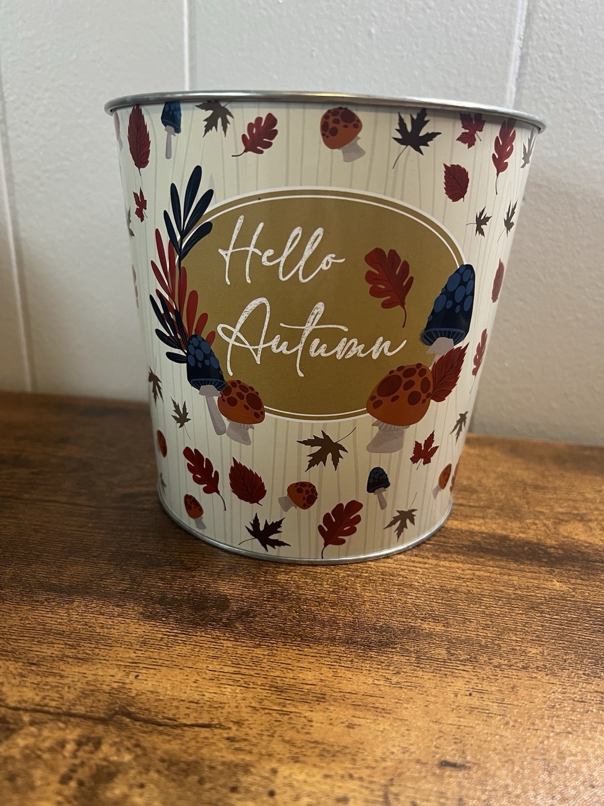 2 Round Tin, HELLO AUTUMN, Fall Flowerpot Can, Home Decor W/ 2 Ceramic Pumpkins