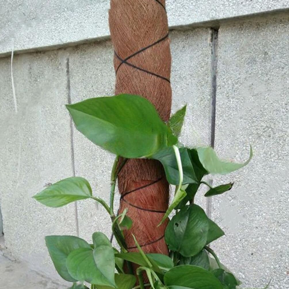 5 Sheets Coconut Tree Bark, Artificial Brown Palm Tree Barks Fake Plant for S…