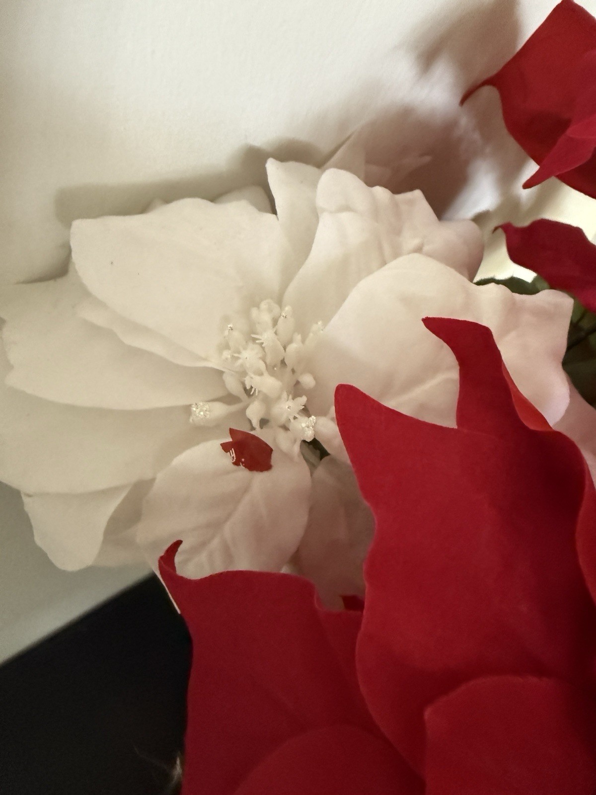 Poinsettia Flower Stems Artificial Cloth Flowers 5 Stems 4 Red 1 White 18” Tall