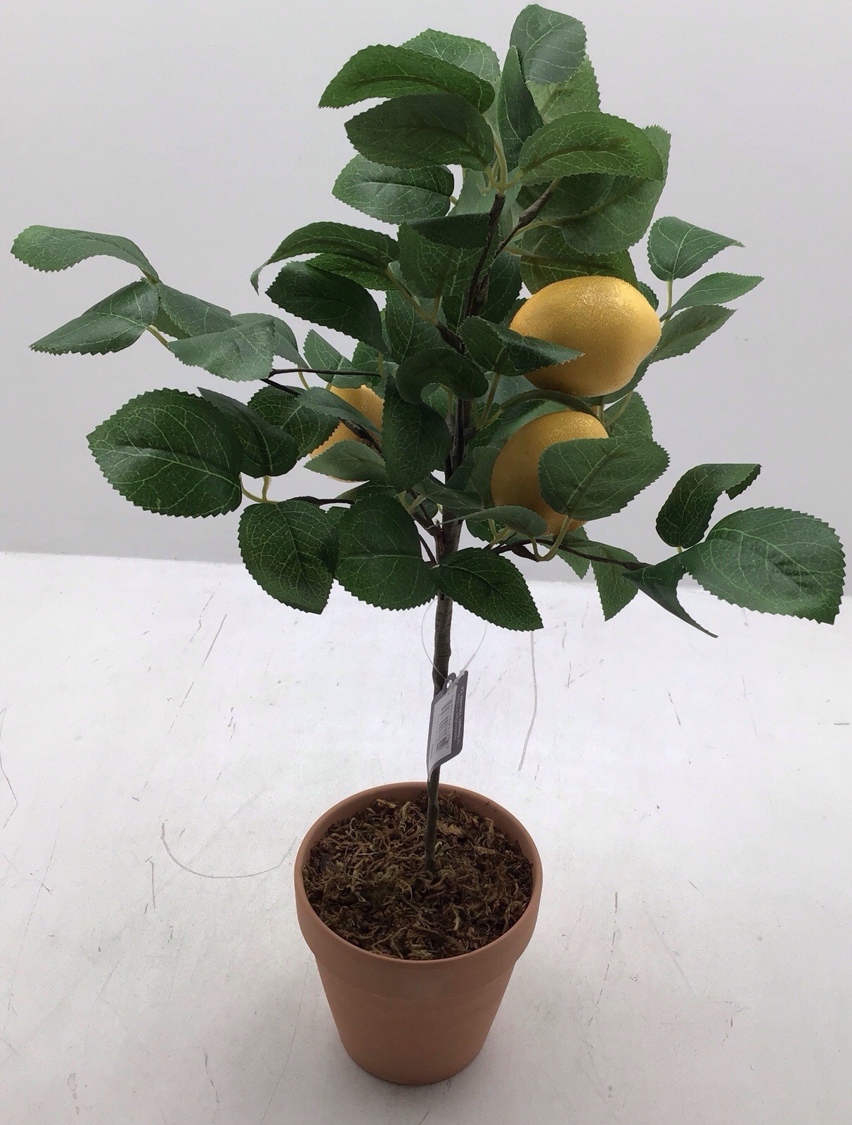 Transpac Faux Lemon Tree in Terracotta Pot Tabletop Plant 20 Inches Tall