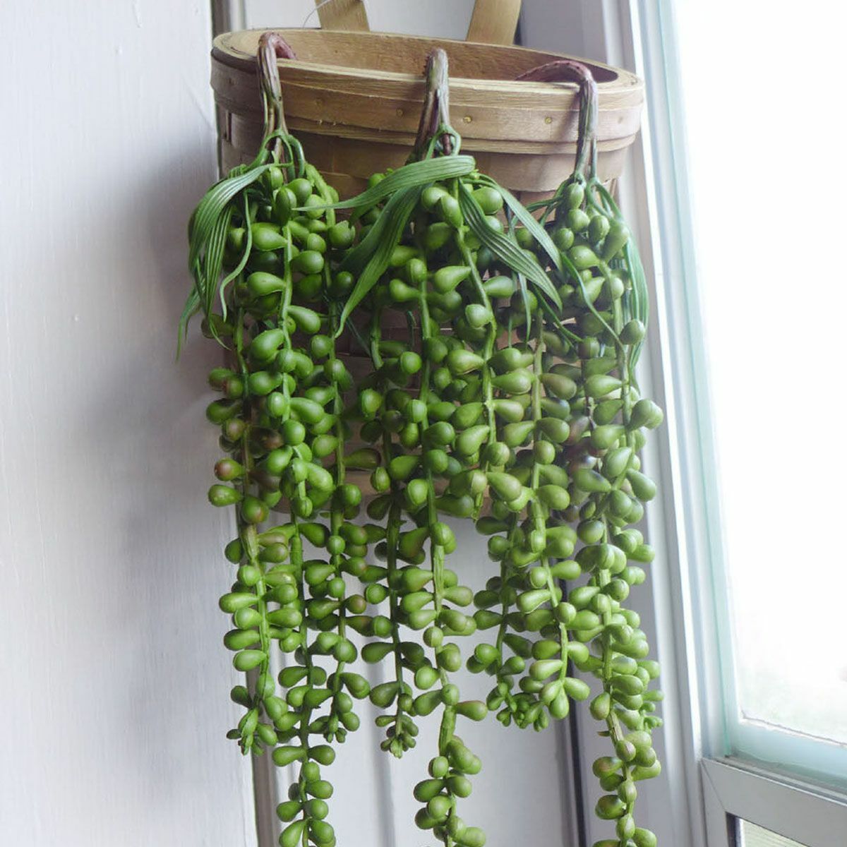 5 pack Artificial Hanging Plant Fake Vine Succulents String of Pearls Home Decor