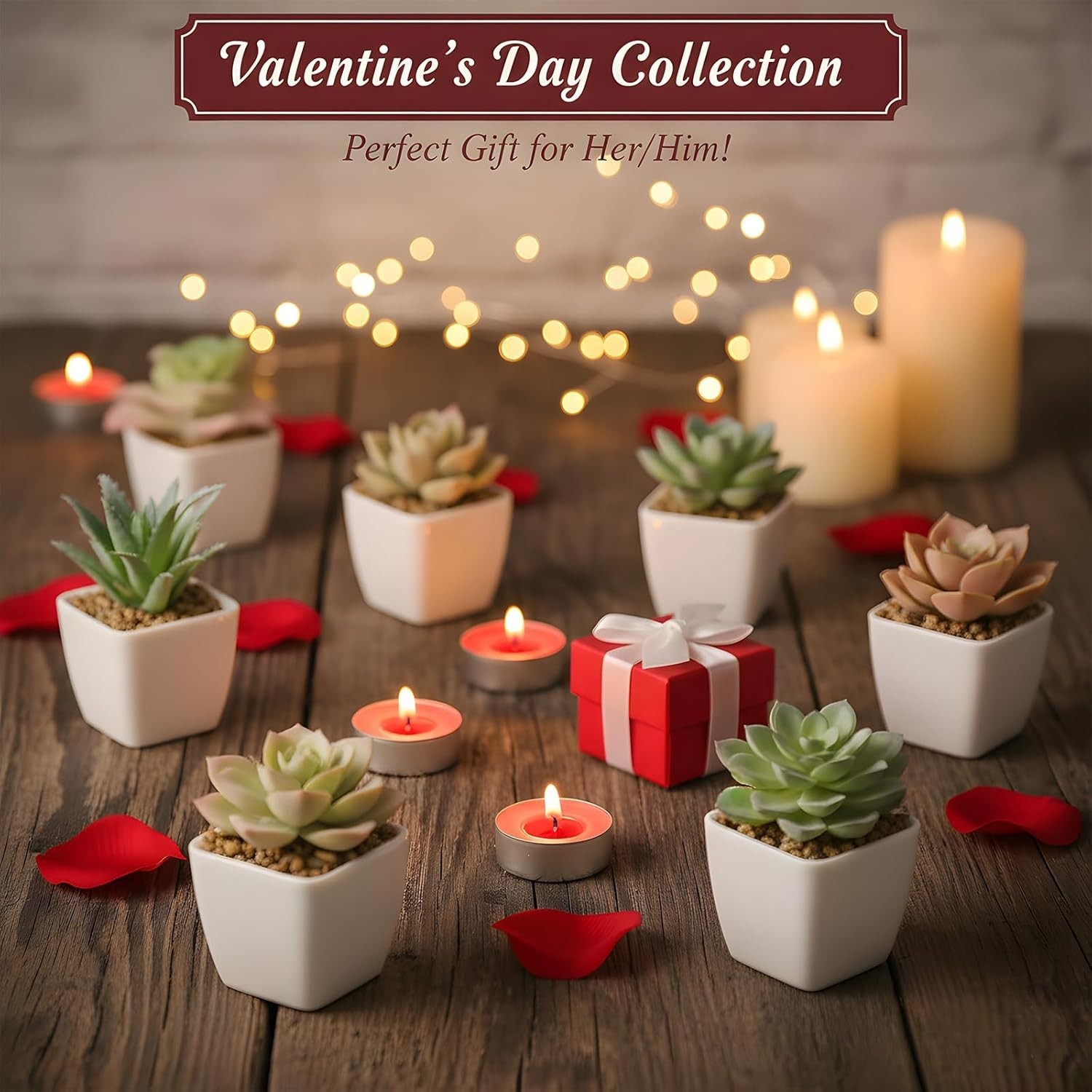 Eco-Friendly 24 Mini Artificial Succulents – Perfect for Home and Office