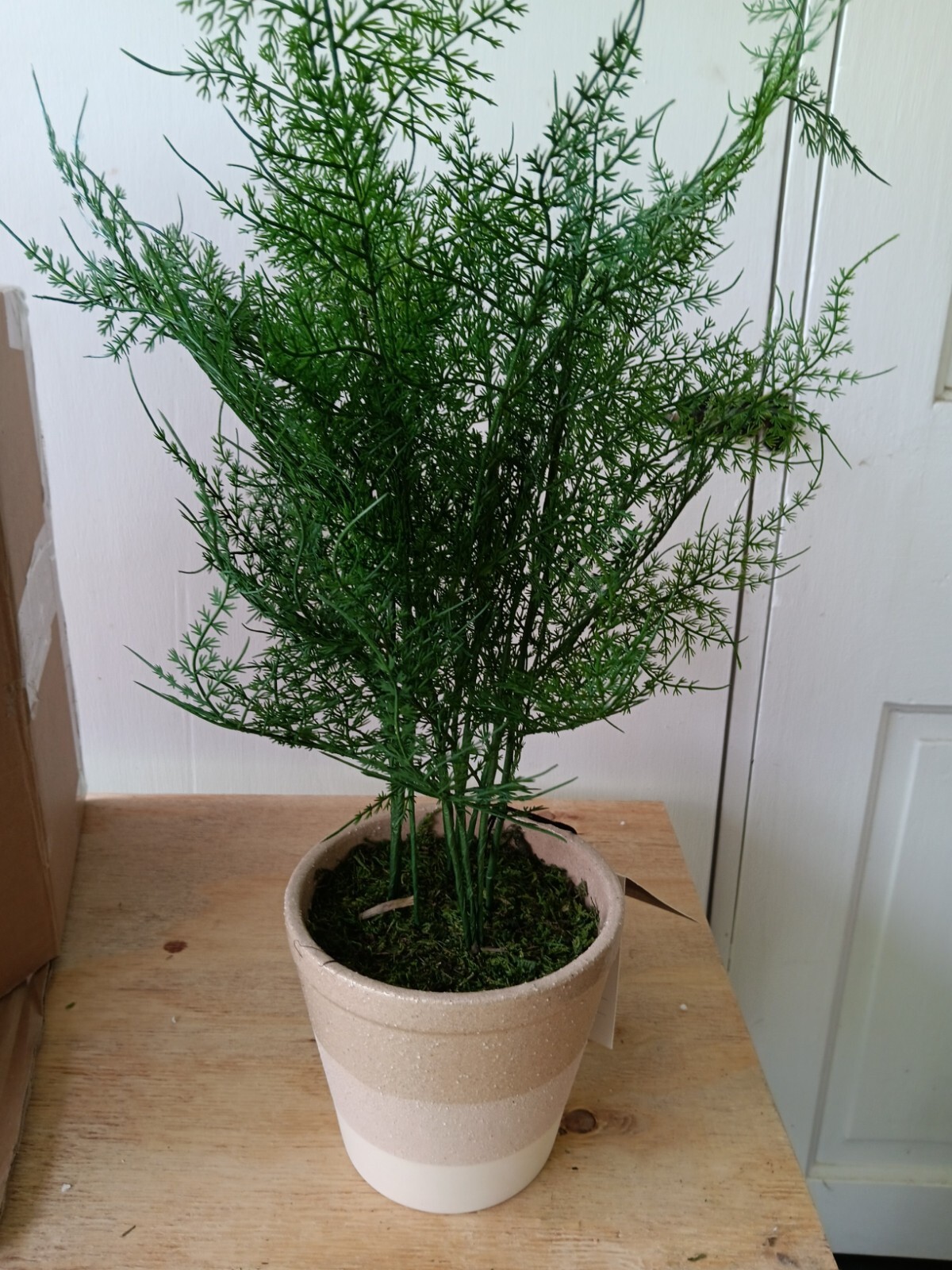 4 Hearth and Hand with Magnolia Artificial Faux Potted Plants Asparagus Ferns