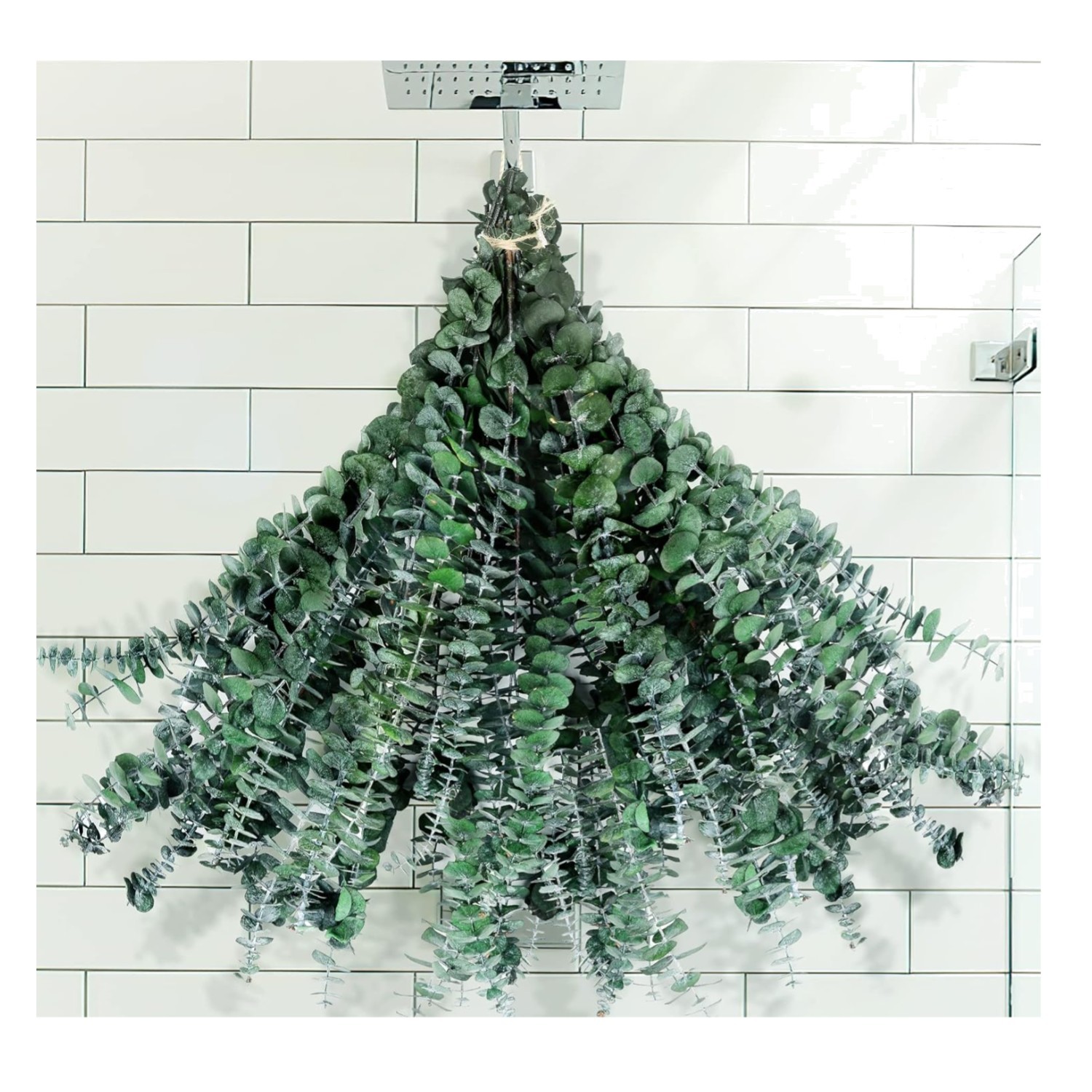 30Pcs Dried Eucalyptus Stems, 17″ Real Preserved Eucalyptus Plant for Shower, Fr
