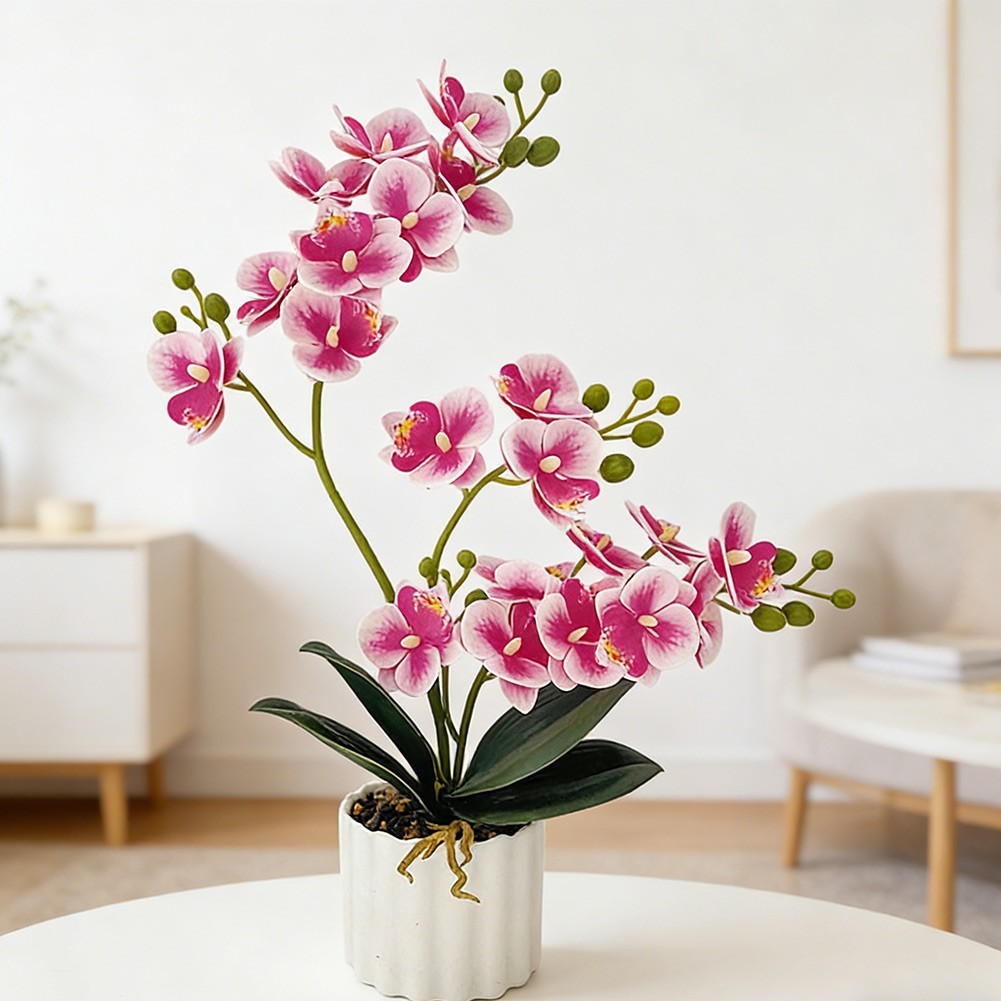 Phalaenopsis Plant Artificial Orchid Plastic for material No Watering Required
