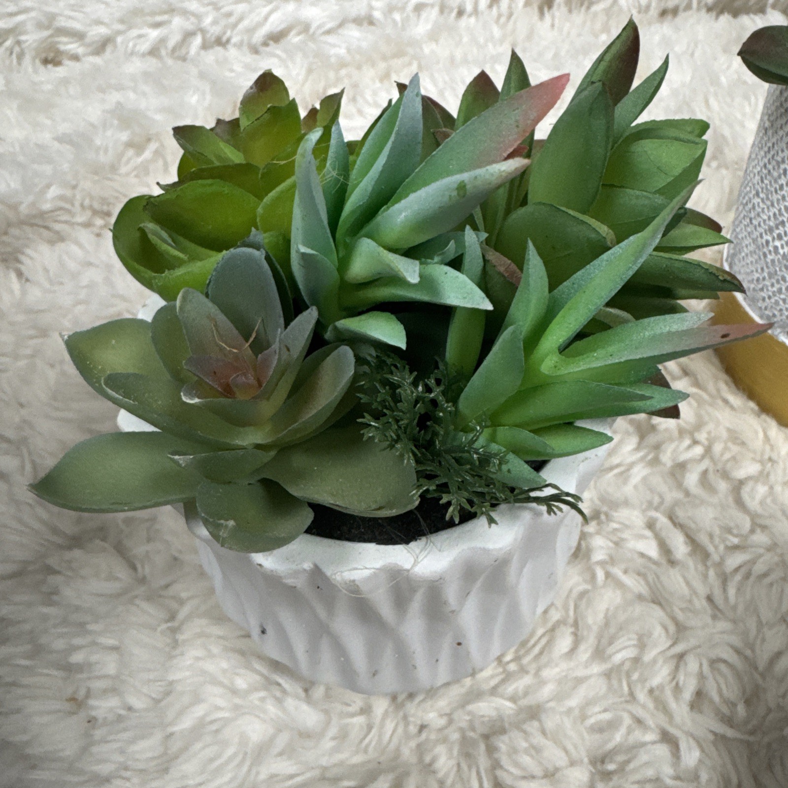 Lot Of 4 Artificial Succulent Plants 3 Vase 1 Hanging