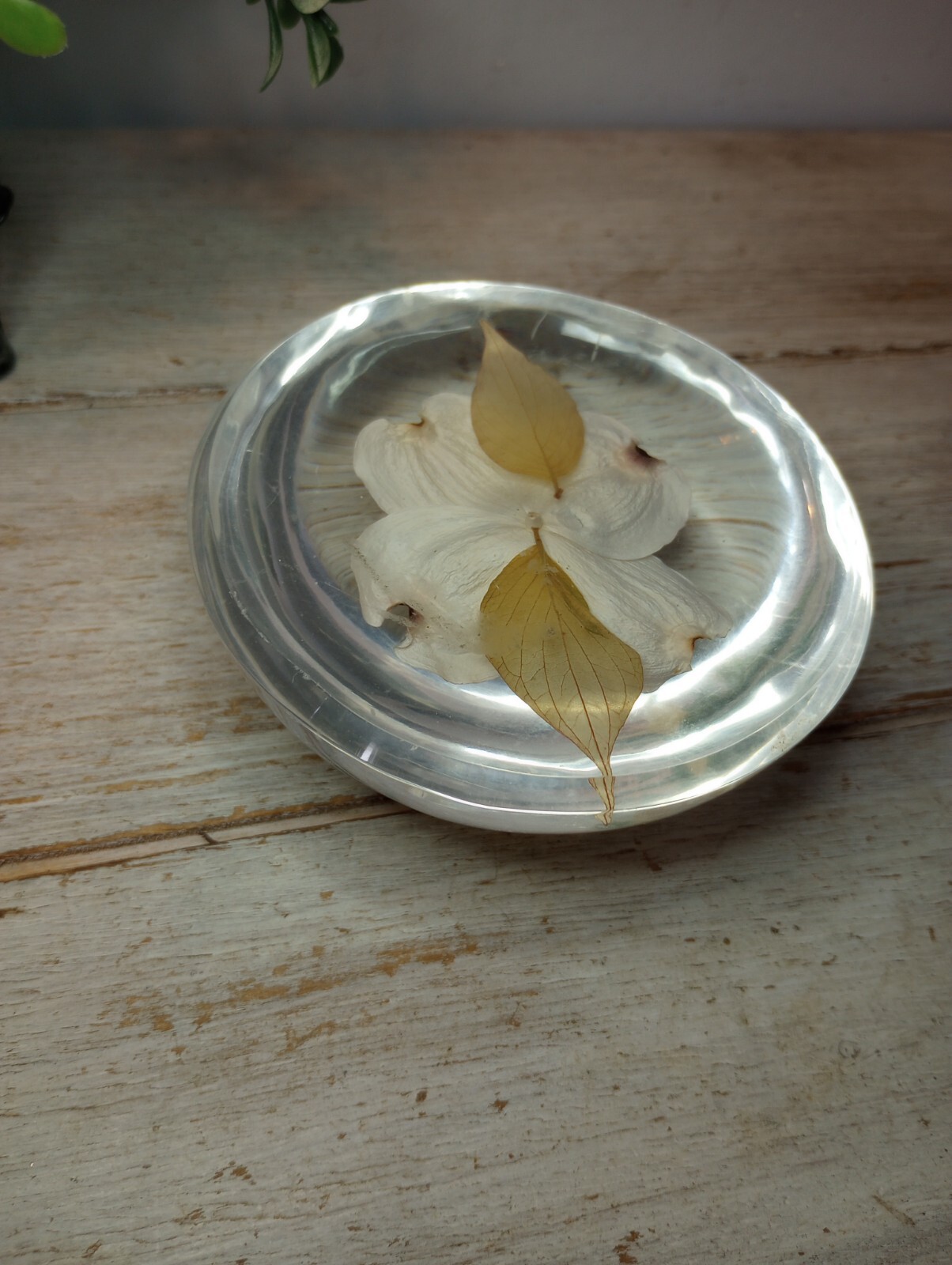 Boho Chic Floral Paper Weight Vtg Victorian Cottagecore Resin Preserved Flower