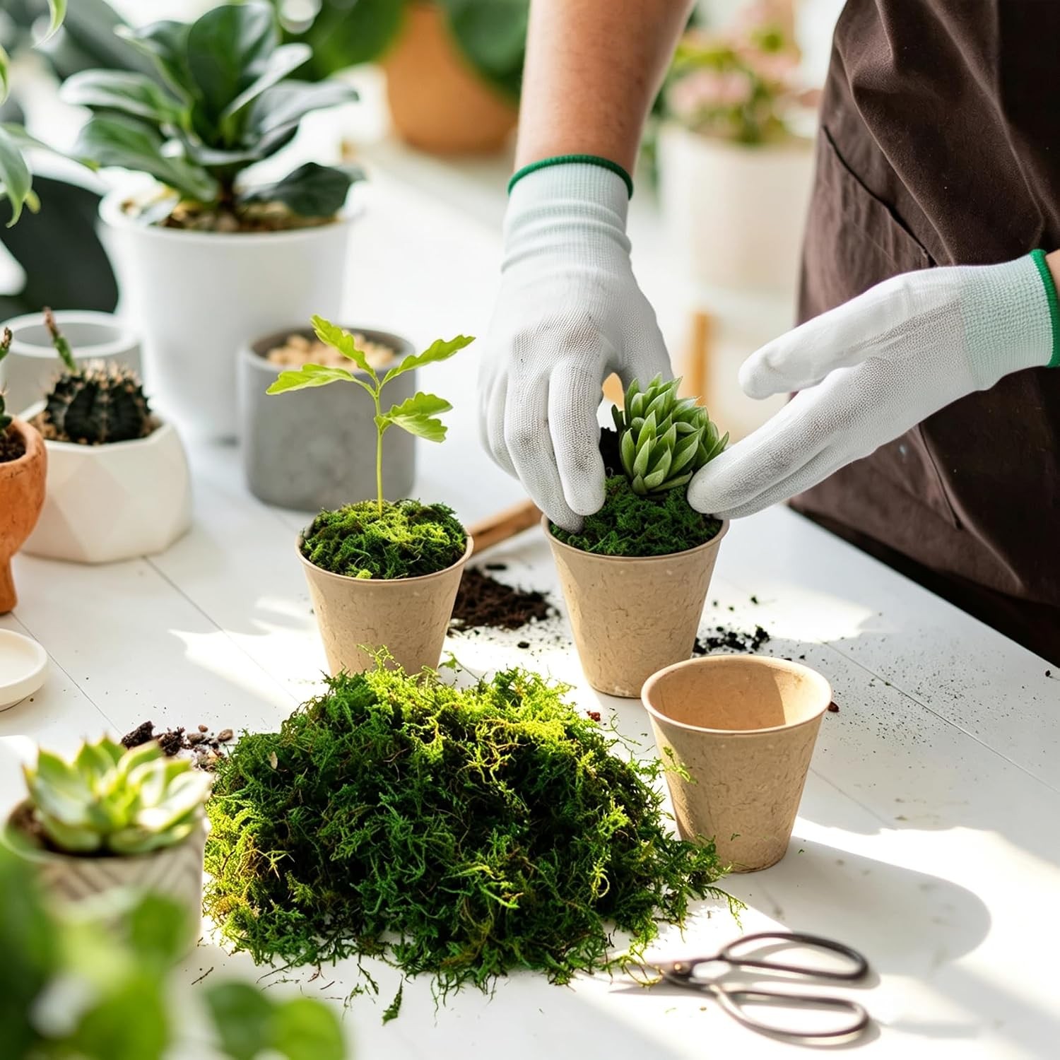 10oz Artificial Fake Green Moss for Crafts Plants Indoor | Includes Gloves