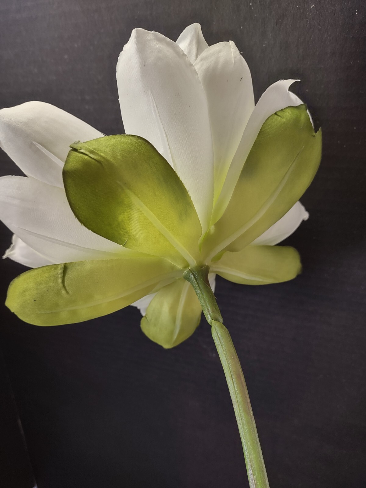 Artificial White Natural Feel large lotus blossom stems