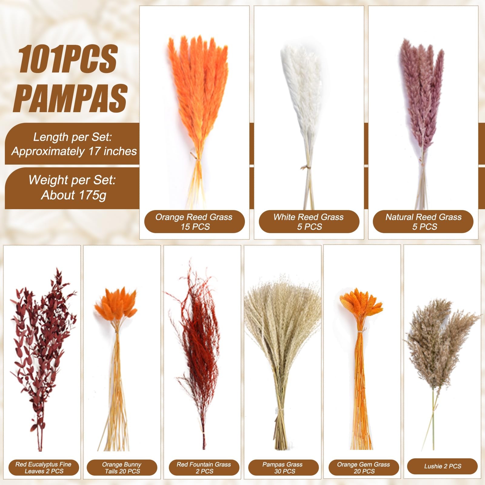 101PCS Dried Pampas Grass Mix Bouquet: Bunny Tails, Dried Flowers, Reed Grass…