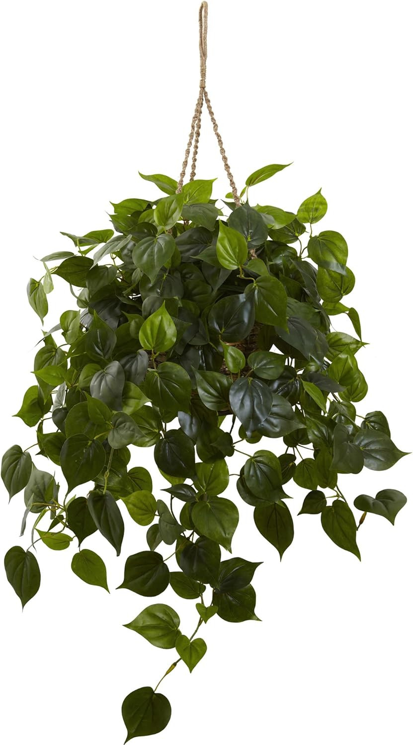 UV Resistant Philodendron Hanging Basket for Indoor & Outdoor Use
