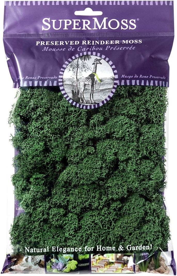 Beautifully Preserved 2oz Reindeer Moss – Forest Green for Decorating & Crafts