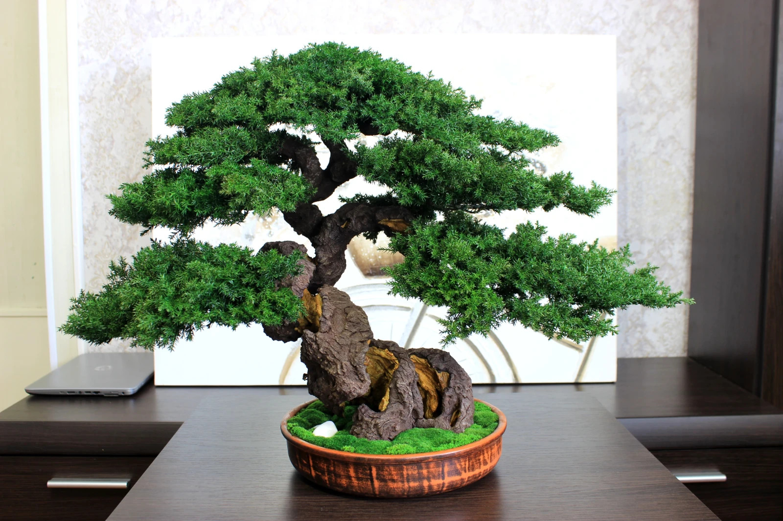Artistic Preserved Bonsai Tree – Handmade Juniper Decor Sculpture. 49 cm / 19.3″