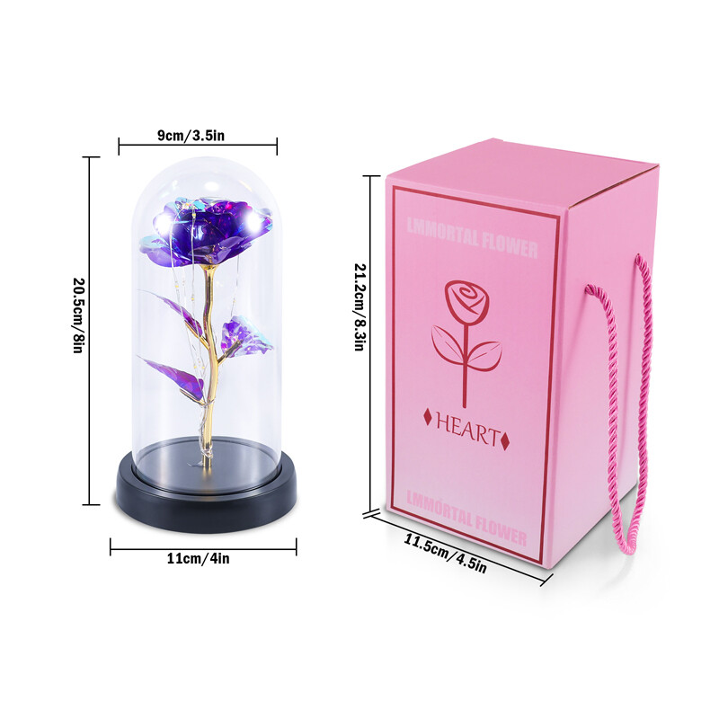 Luz LED rosa en vidrio, regalos para esposa, mujer, novia, regalo de cumpleaños