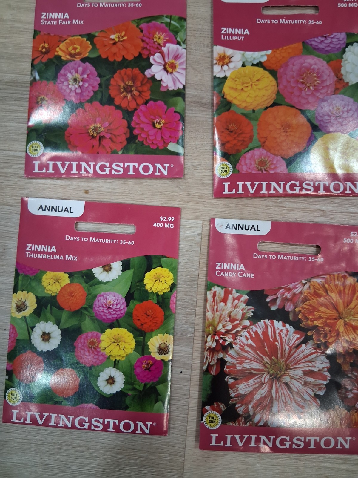Lot of Zinnia flowers