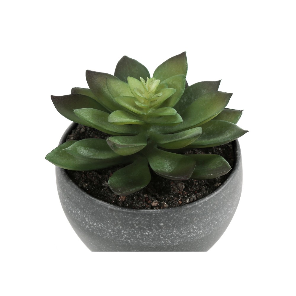 3Pcs 6in Faux Succulent Plants Grey Cement Pots Table Indoor Home Decor